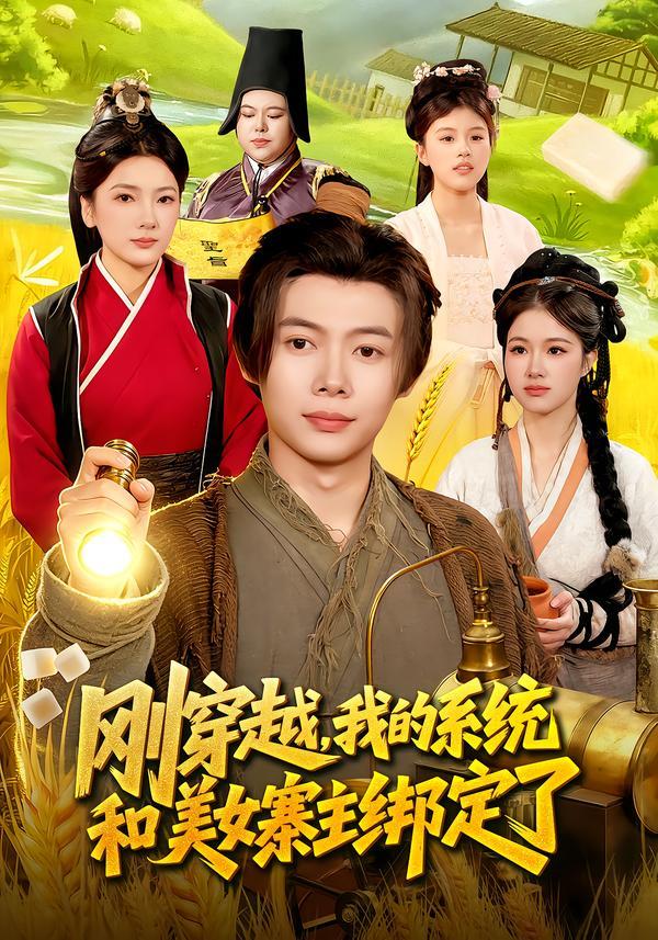 刚穿越,我的系统和美女寨主绑定了封面
