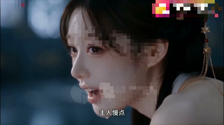 风华神女录封面